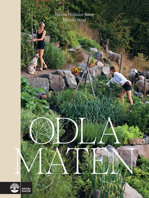 cover image of Odla maten